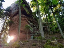Tête de la gorge aux sangliers et Canceley