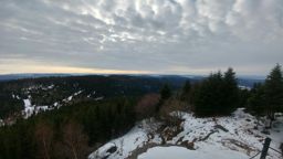 De la Hallière au Coquin