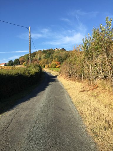 Premier raidard de la matinée et la photo écrase la pente....ça piquait...tout à gauche, 34/30 ! 😳😰