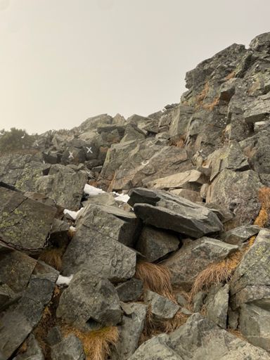 follow the O, avoid the X