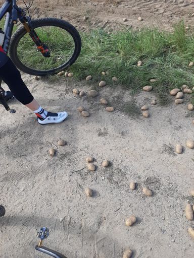 Da hat der Bauer viel Kartoffeln verloren, unser Abendessen 😁