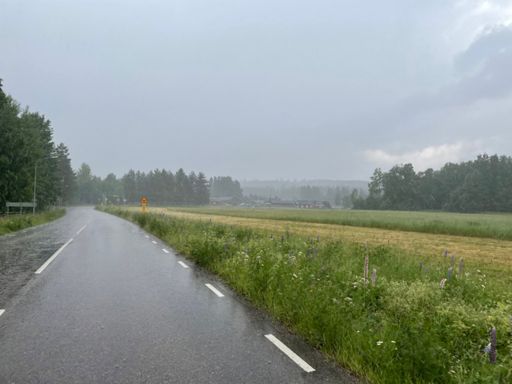 Varmt regn idag.