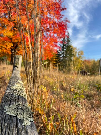 Silver Lake Rd., Amherst