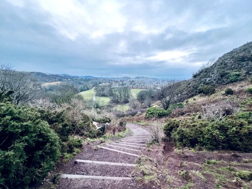 pic from a wander after the cycle, the gravel/paths were lethal with a perfectly disguised, fine layer of ice. Careful out there!