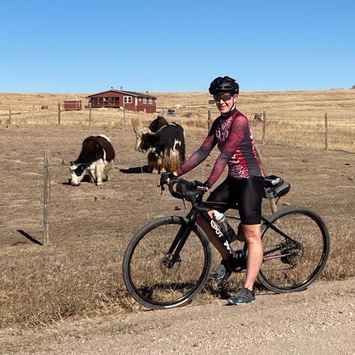 Cute hairy Highland Cattle 🐮
