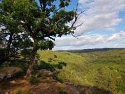 Sortie à vélo le soir