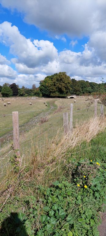 Bridge across Nail Bourne in Bifron's Park, the name of a mansion in Patrixbourne built 1607-1611 and demolished in 1948.
https://www.thedicamillo.com/house/bifrons-house-bifrons-park/
NAIL BOURNE is a tributary of the Little Stour river which joins the River Stour which flows into Pegwell Bay, just south of Ramsgate. 
https://en.wikipedia.org/wiki/Little_Stour