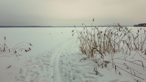 Суходольский залив Учинского водохранилища.