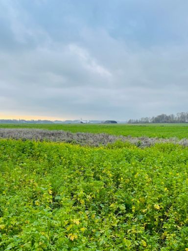 Antonov An-124, Beauvechain