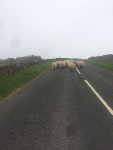 trying to bridge to join on the back of the Greenhow peloton