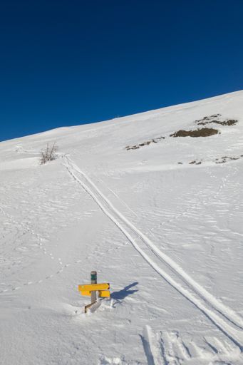 Encore un peu et il faudra creuser
