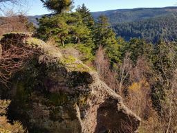 VTT + marche dans les parages