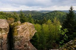 Sortie à vélo le soir