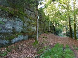Roche schache
