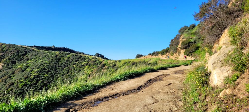 NBB run - Lake Hollywood photo 174