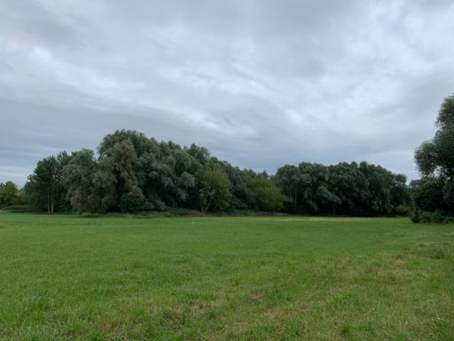 Wolkem dominieren an diesem sommerwarmen Sonnabend das Bild in der Malchower Aue.