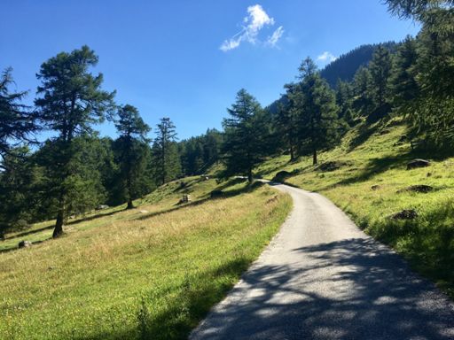 Col du Tronc