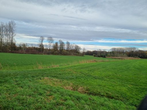 Zelfs een spoortje blauwe lucht gezien