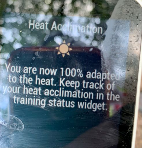 Woo! Probably a little optimistic, but pretty nifty