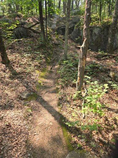 this is much steeper than it looks!