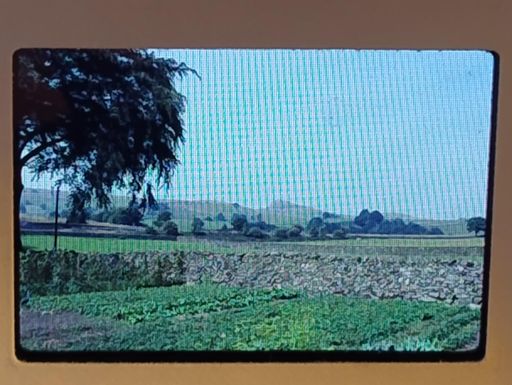 Random Yorkshire from some slides I am sorting out