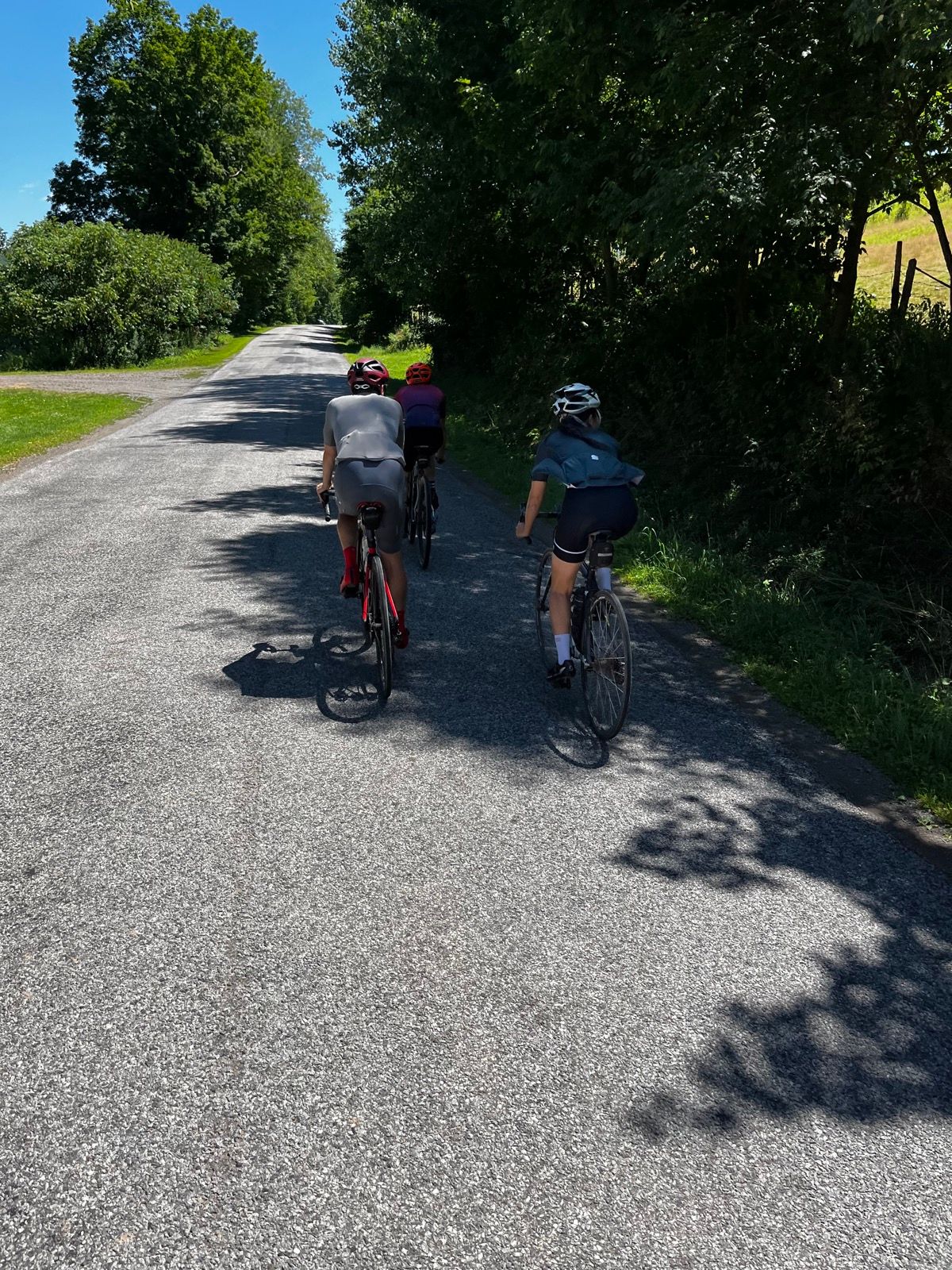 www.strava.com