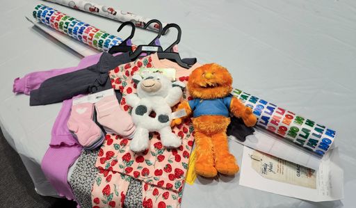 My best guess at what an 8 mo baby girl might need.