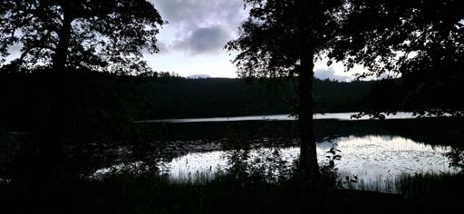 Stämningsfull utsikt från badplats med strategiskt placerat dass.