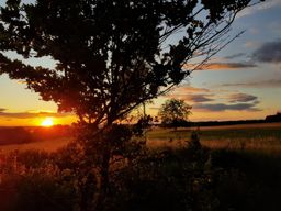 Petite balade vespérale