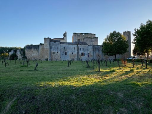Le petit village fortifié de laressingle
