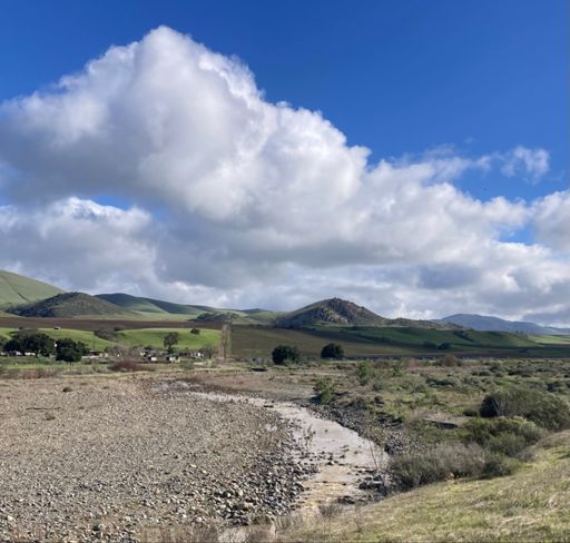 Tres Pinos Creek from Panoche Road. First water in creek since May. 