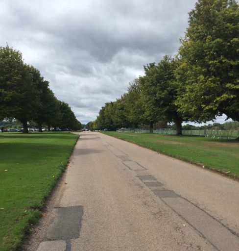 Main drive of Wrest Park