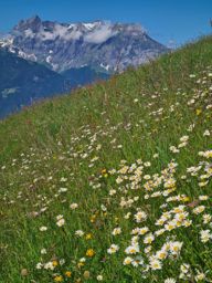 Rando via ferrata Fruttstägä, spilauersee, fulen