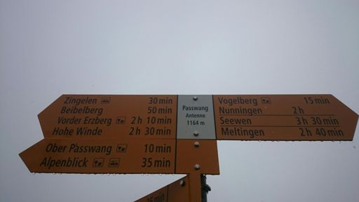 Vogelberg, in the rain