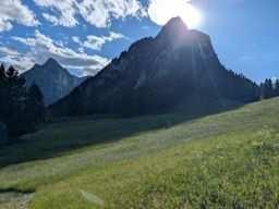 Chöpfenberg Tierberg