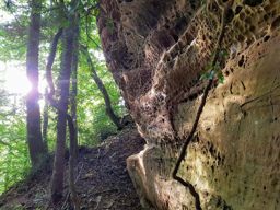 Marche autour de Haselbourg