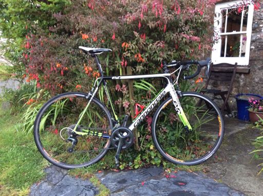 New frame and forks like