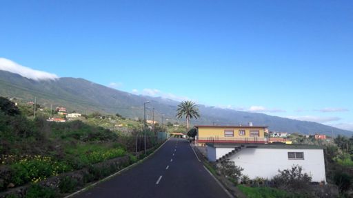 Zona de Las Ledas, hoy es el día de las palmeras 😅