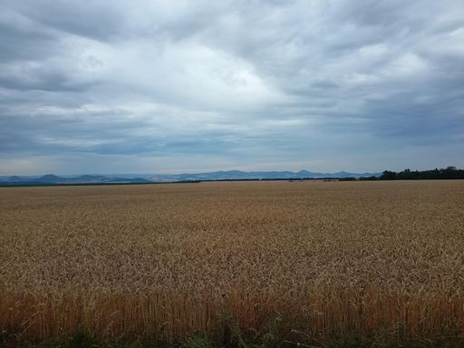 Telce - horizont se Stredohorim.