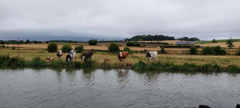 Kennet and Avon Canal, alas After a GWR multi-colur train went past right to left.