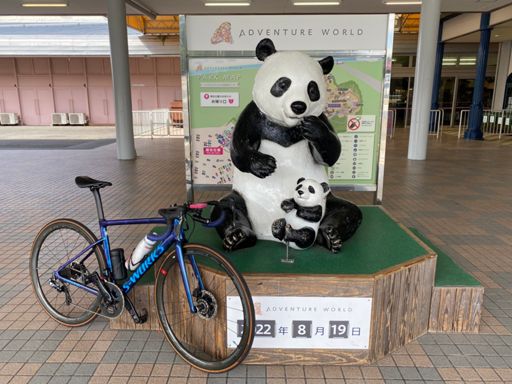 やっぱ、パンダですね🐼😅