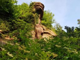 Marche autour de Haselbourg