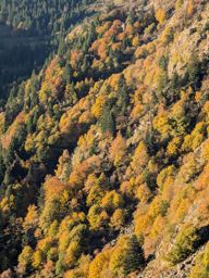 Boucle lac blanc  Hirschteine