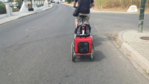 he was talking his dog for a ride 😂😂😂