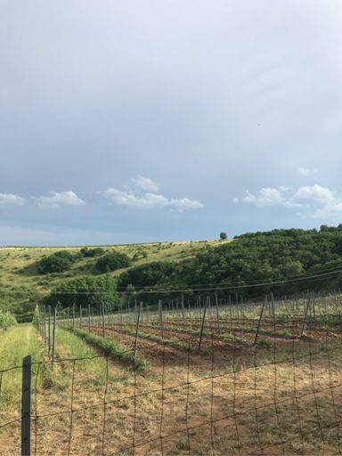 Új telepítés a Csókáson