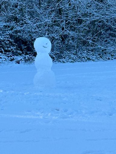 Who ate all the Snowballs ?