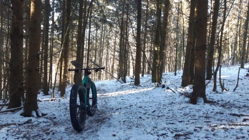 Trail zum Waldklassenzimmer