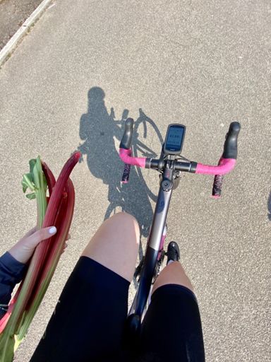 Rhabarber gesichert😅