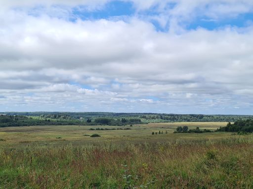 Вблизи Дубосеково. Зимой по этому полю рассекали на лыжах.