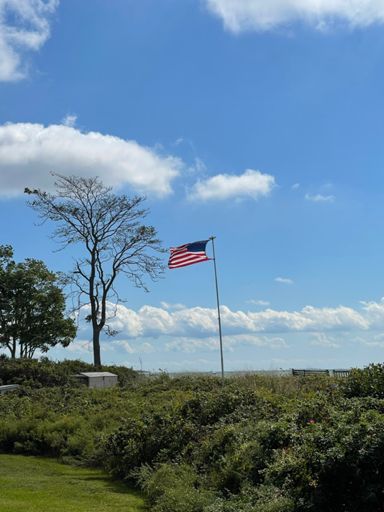 Confirmation — windy!  Seaview Ave., Madison